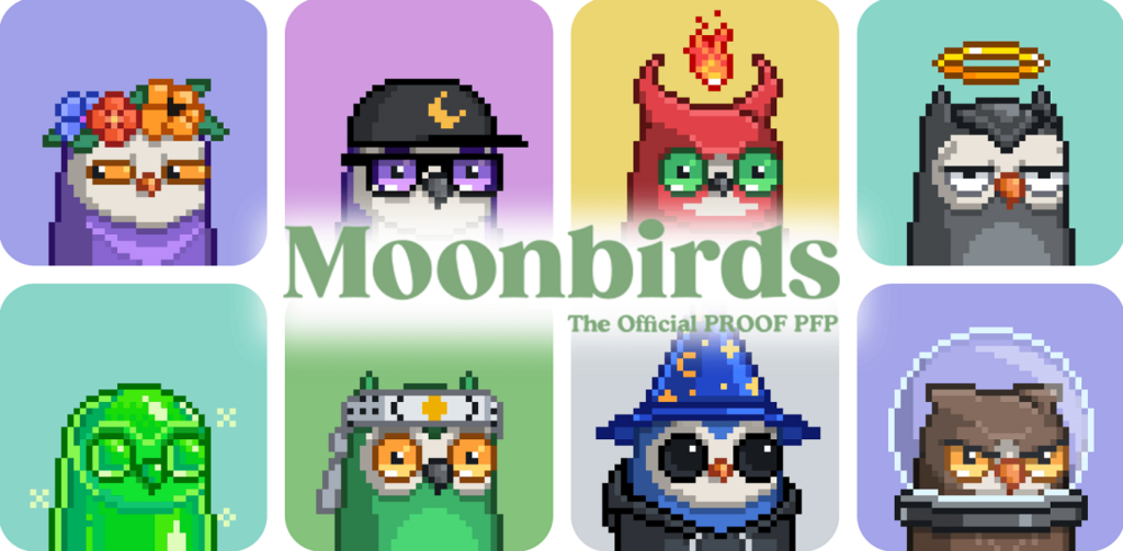 Moonbirds - one of the best NFTs to buy